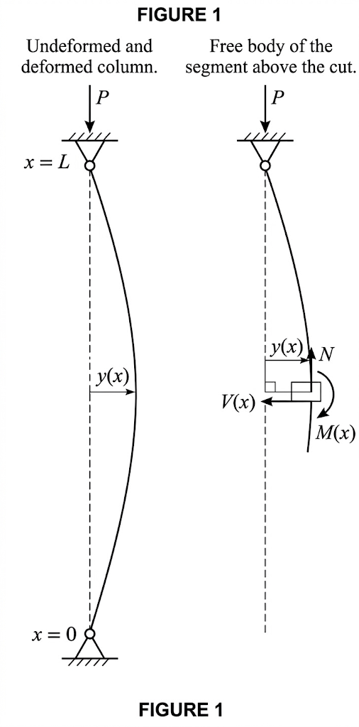 Pinned-pinned column under axial compressive load — equilibrium setup for Euler buckling derivation